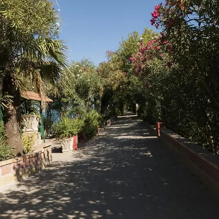 Camping Village Oasi *